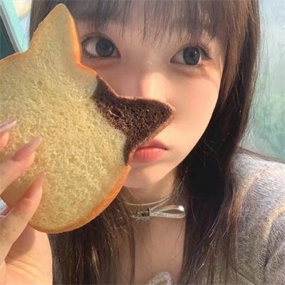 候鸟之爱